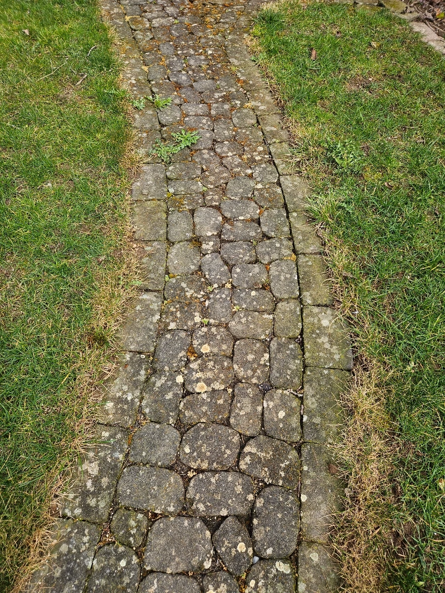 reinigung pflastersteine