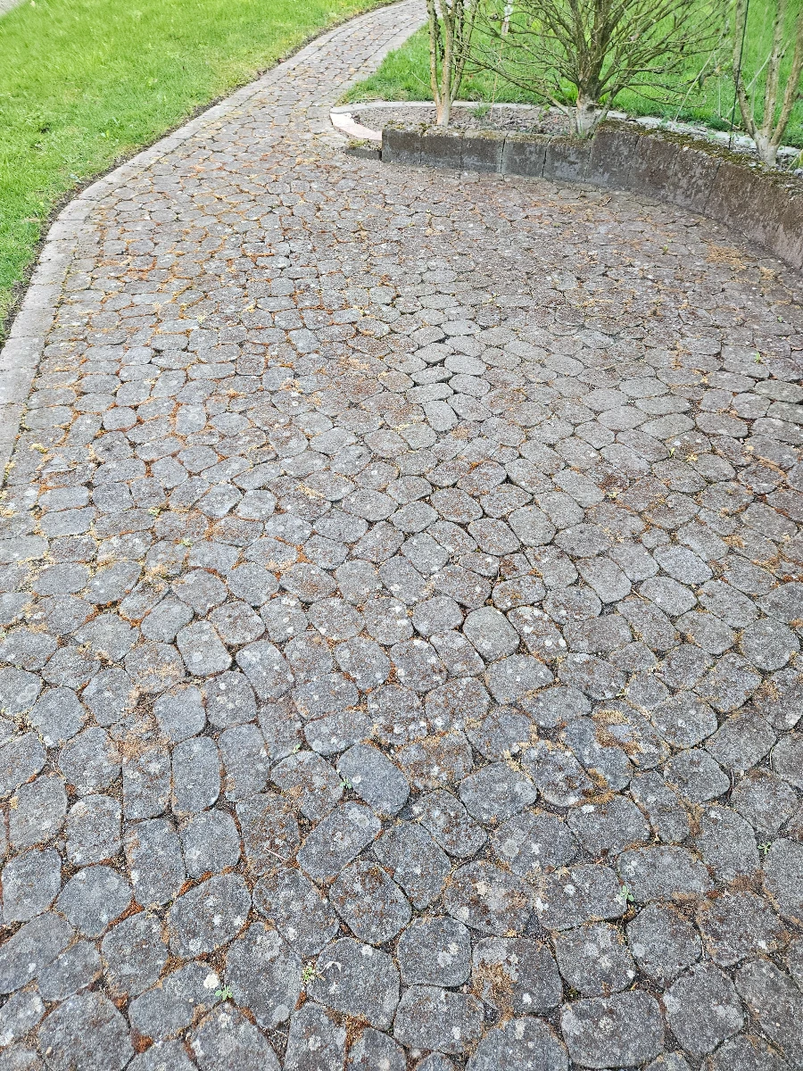 entfernung von grünbelag