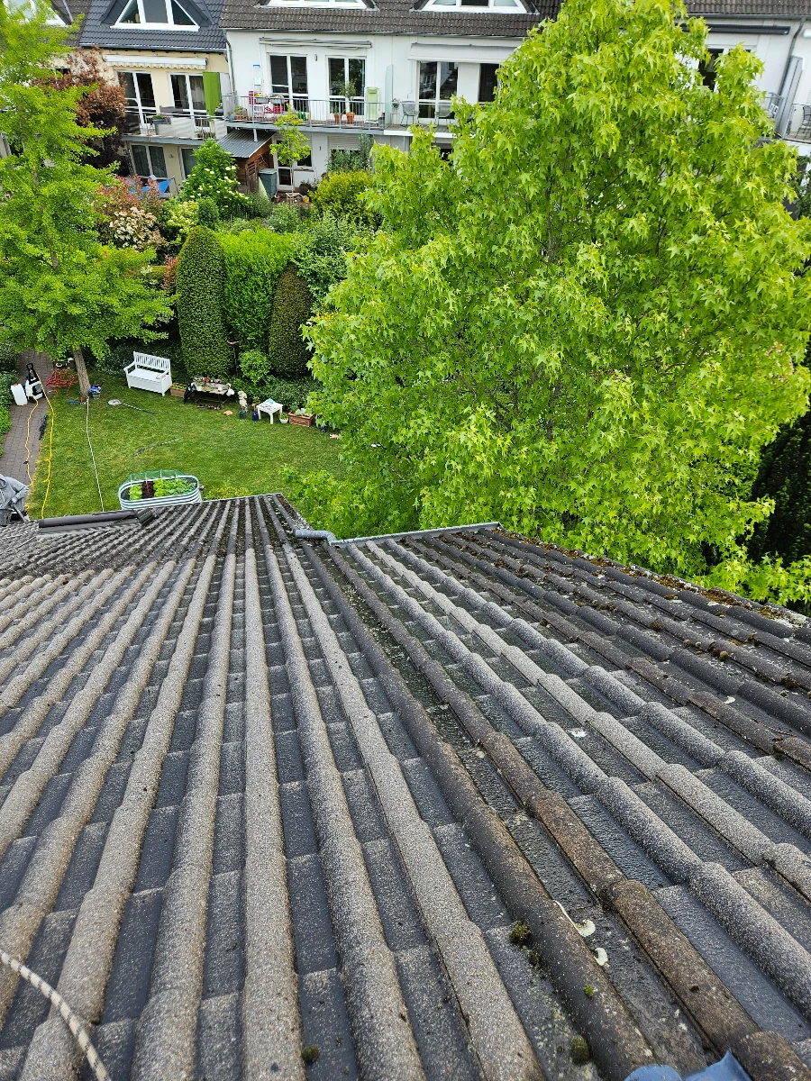 dachrinnenreinigung kosten