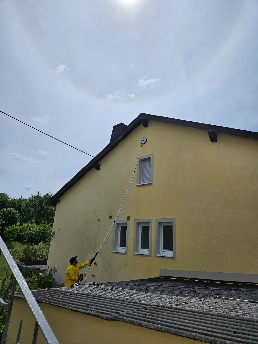 algenentfernung fassade