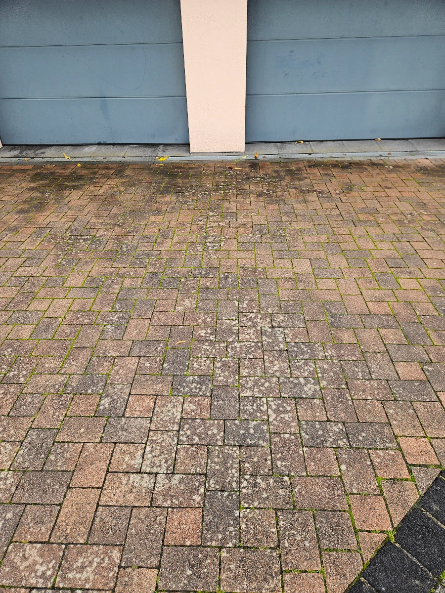 terrassenplatten reinigen hausmittel