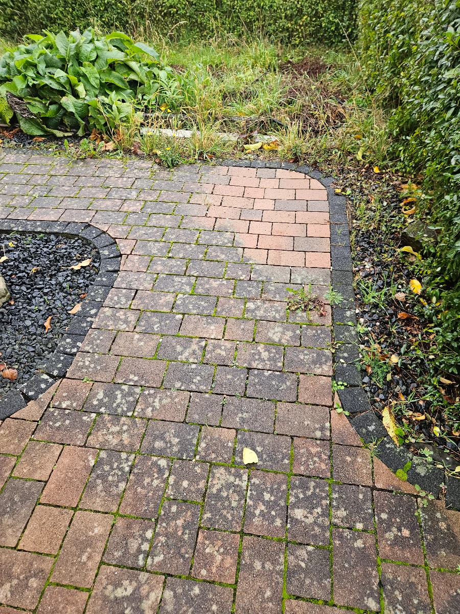 pv anlage reinigen lassen