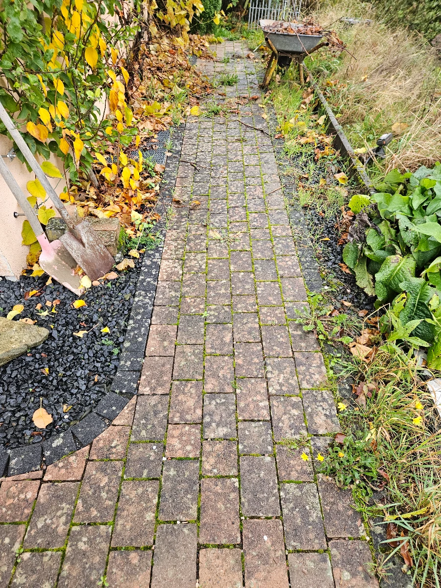 reinigung pflastersteine