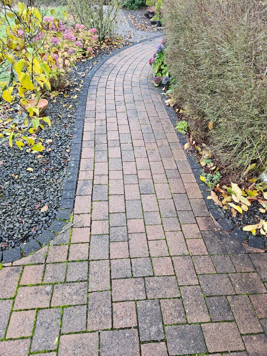 grünbelag entfernen holz