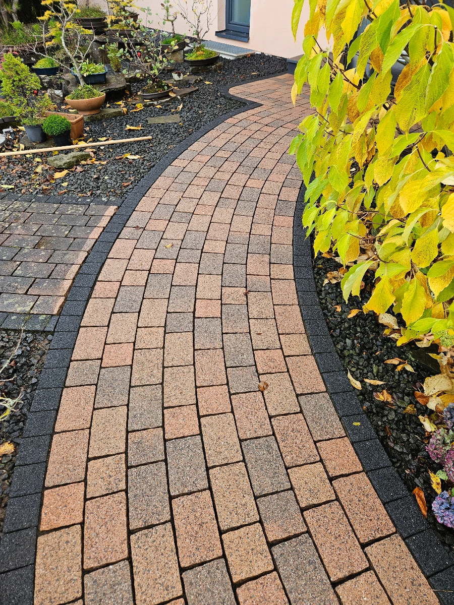 betonpflaster reinigen