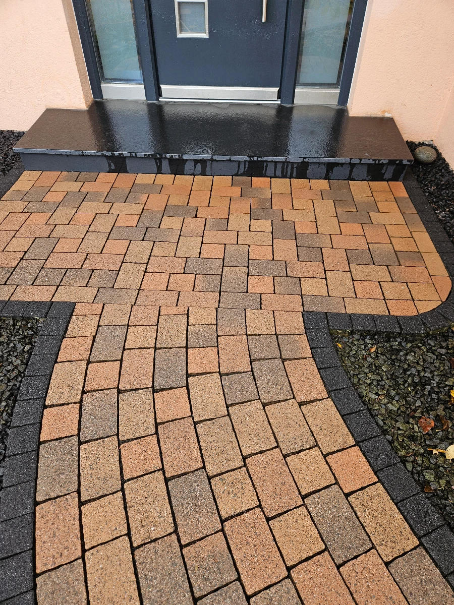 algenentfernung fassade