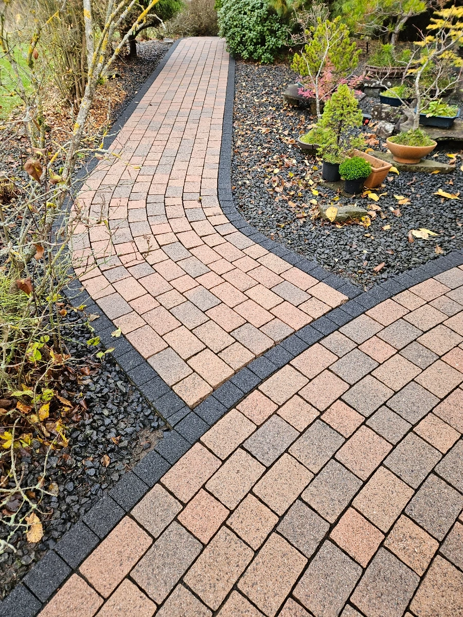Gebogener, gereinigter Pflastersteinweg mit kontrastreicher Einfassung und sauberem Fugenbild – Reinigung pflastersteine
