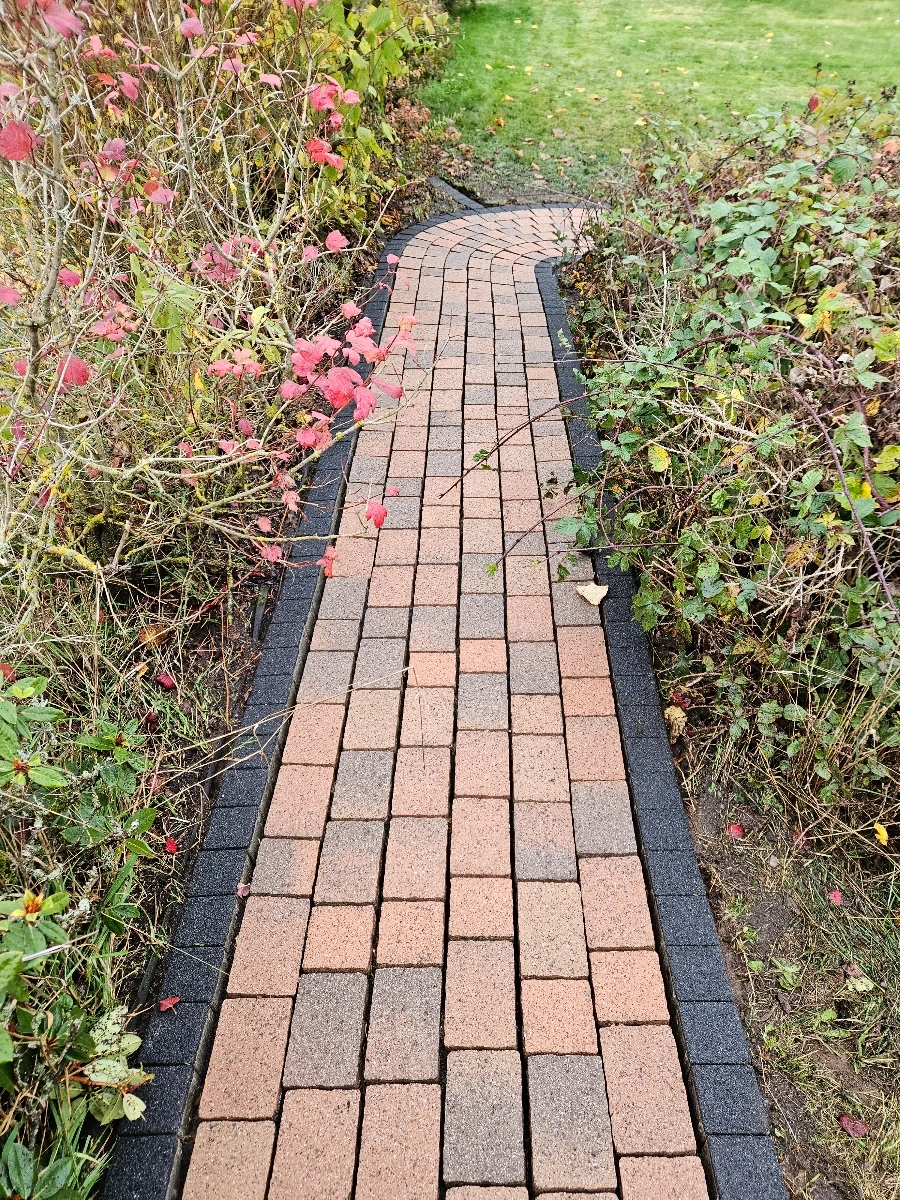 Gartenweg mit rot-grauen Pflastersteinen und dunkler Umrandung nach Reinigung pflastersteine