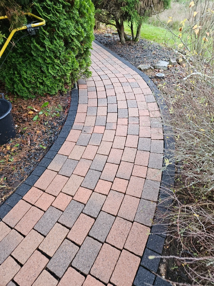 Geschwungener Gartenweg aus Rot-Grau-Pflastersteinen nach Reinigung pflastersteine, umrahmt von immergrünen Büschen