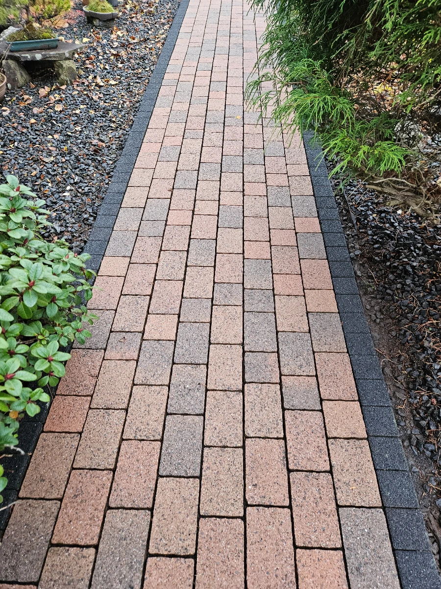 betonpflaster reinigen