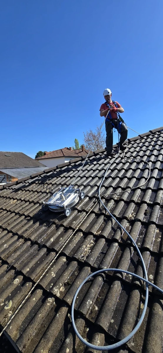 kosten dachrinnenreinigung