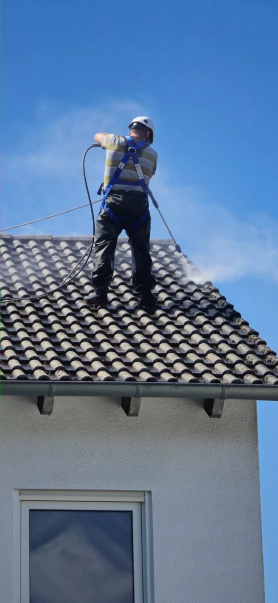 kosten dachrinnenreinigung