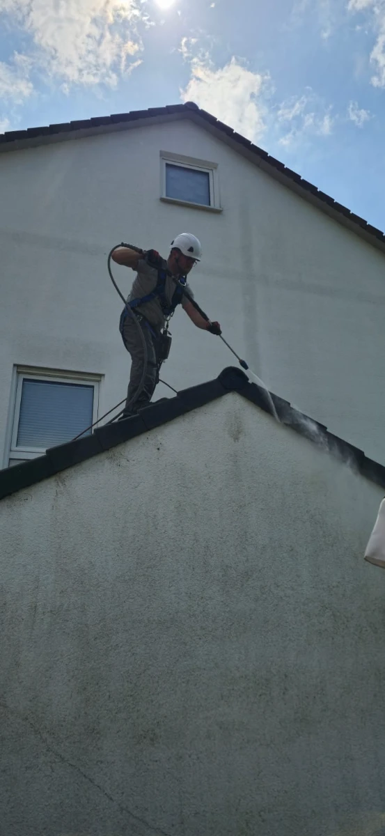 dachrinnenreinigung kosten